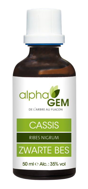 Cassis bio 50ml - douleur articulaire - Alphagem