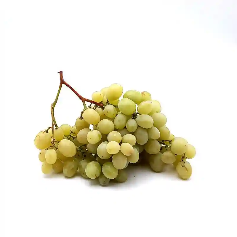 White Grape Italy - Kg